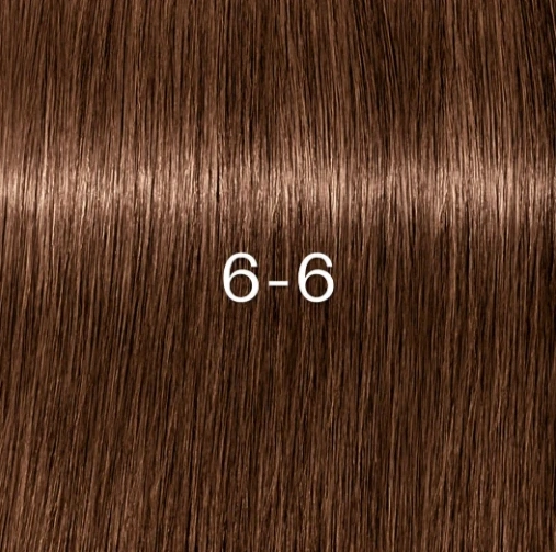 Schwarzkopf Igora Zero AMM - 6-6 Hajfesték 60ml főképe